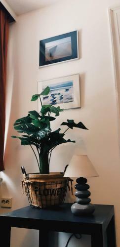 Apartamento Haus Stefanie Elvire