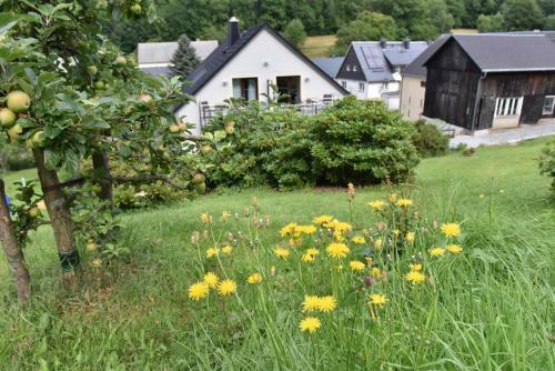 Apartamento Biohof Seifert