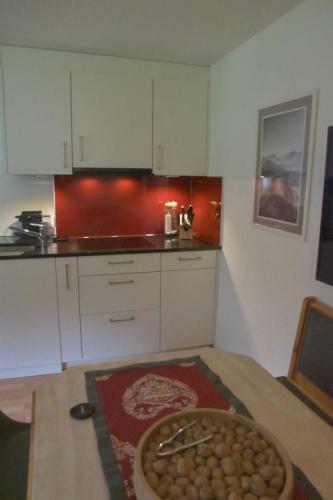 Apartment Ferienwohnung Schatz