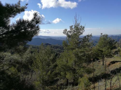 Bed & Breakfast Heaven Of Prodromos