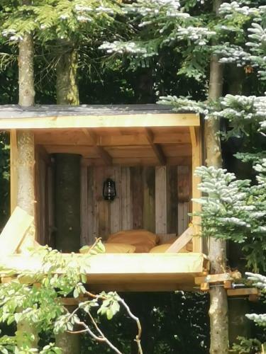 Tree Top Shelter