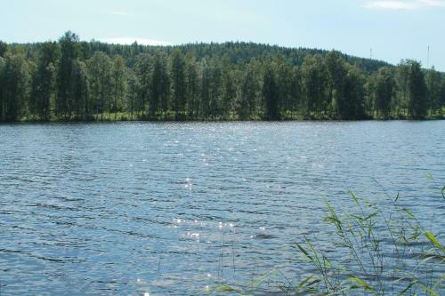 ??????? ? ?????????, Enonkoski (??????)