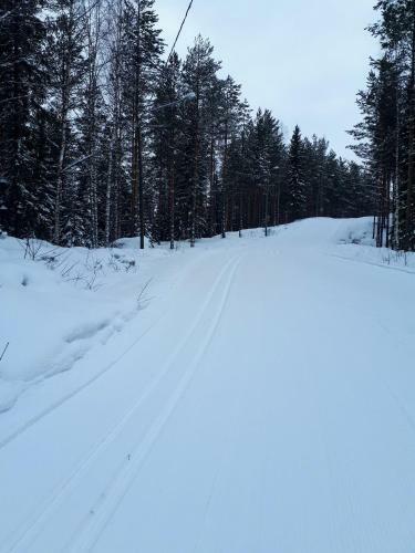 ??????? ? ?????????, Enonkoski (??????)