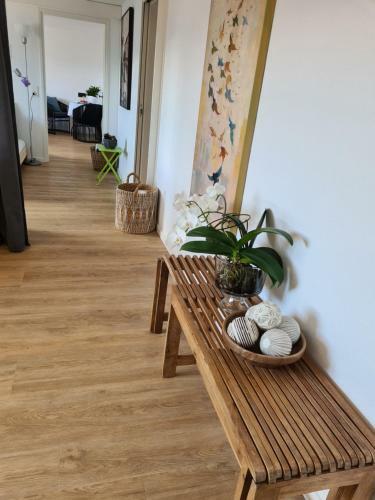 Apartamento Casa Fery