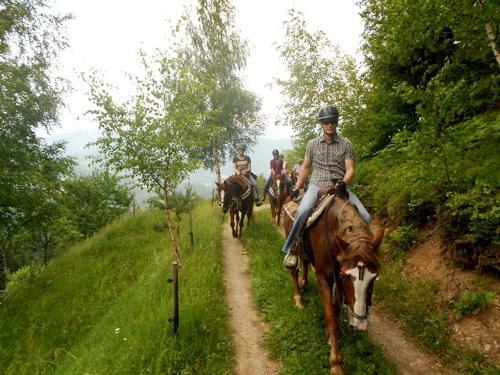Agroturismo Wohlf�hlbauernhof Siebernegg