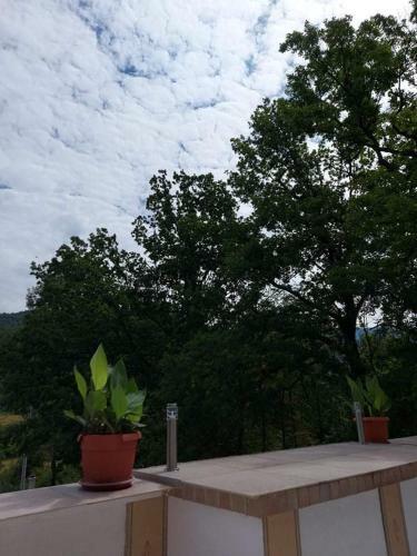 Villa Vila Aiman