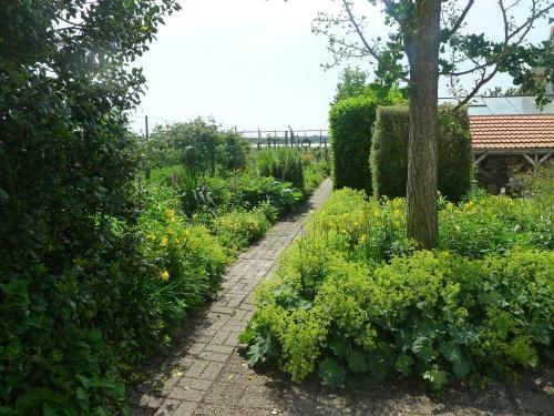 B&B De Kleine Wijngaard