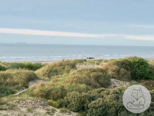 Apartamento Appartement Seafox