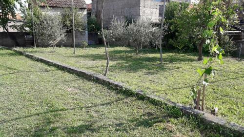 Apartman Rodin