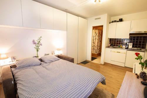 Apartamento Studio Montana