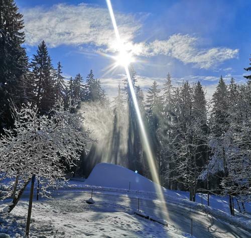 Apartment 42 Crans