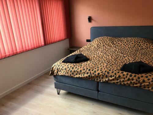 Apartamento Ros'a Tourist & Business Appartment