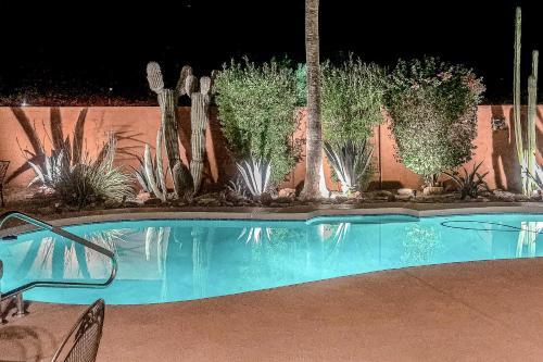 Mesa Memories