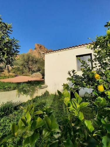Maison T2 Au Pied Du Mont Gozzi