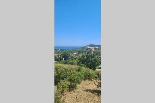 Apartamento Studio Rez-de-jardin Cap Esterel Agay