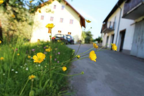 Apartamento Ferienwohnung Huber