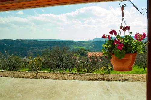 Erigone Cottage By Agroholidays