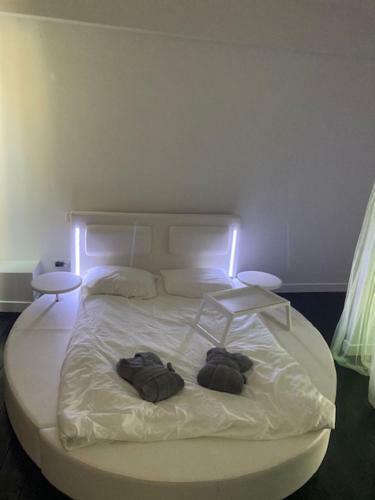 Apartamento Loft De Charme