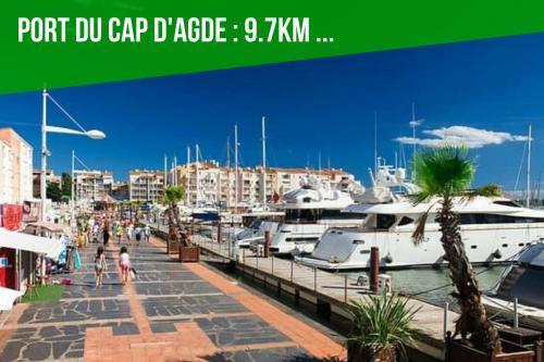 Apartamento ~? T2 Les Pins Du Midi - Agdebnb ?~