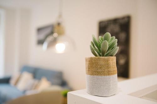 Apartamento Prim 26