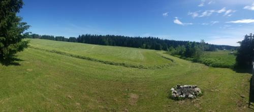 Chata Pl�ni?ka 515 - Lipno Home