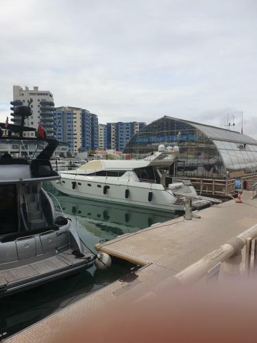 Ocean Village Apartment