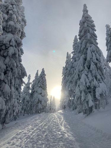 Apartm�ny Rychta?�kovi