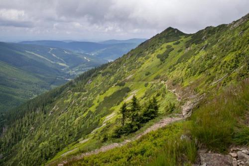 Vakantiehuis Cerny Dul 259