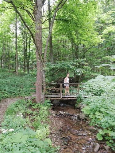 Vakantiehuis Cerny Dul 259