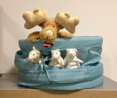 Apartm�n "u N�s Doma" V Chat? Alfa ?ern� D?l