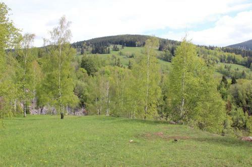 Apartm�n "u N�s Doma" V Chat? Alfa ?ern� D?l