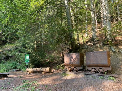 Villa Vila 66 - ?ist� V Krkono?�ch