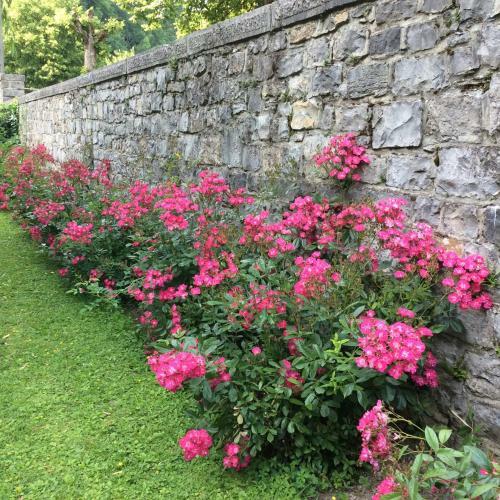 Apartamento La Villa Des Roses