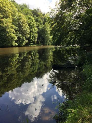 Ardennen Punthuisje
