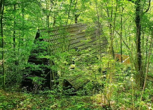 Moderne A-frame Cabin In Ardennen