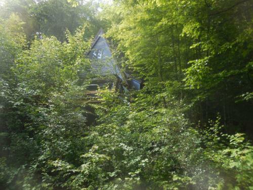 Bungalow 199 Durbuy