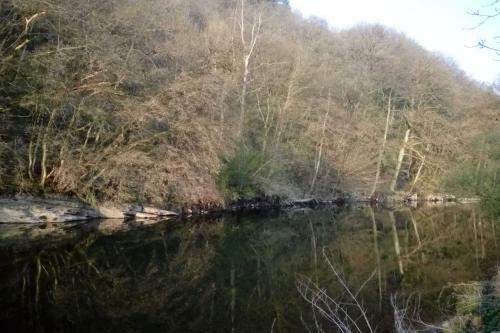 Chalet Si�sta Is Rust & Natuur In Barvaux Durbuy