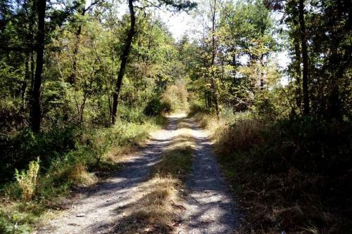 Chalet Si�sta Is Rust & Natuur In Barvaux Durbuy