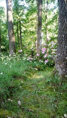 Chalet Si�sta Is Rust & Natuur In Barvaux Durbuy