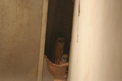 Apartamento Buitenoosten