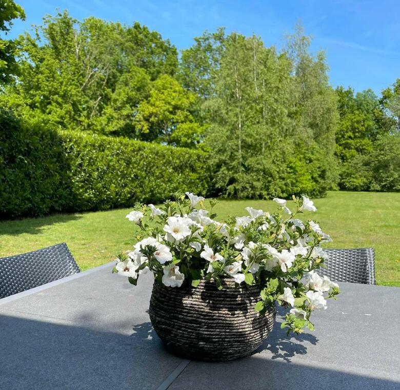 Bed & Breakfast B&amp;b Prinshaerlyck