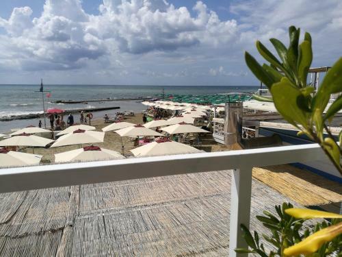 La Casaffittiera Apartments Group