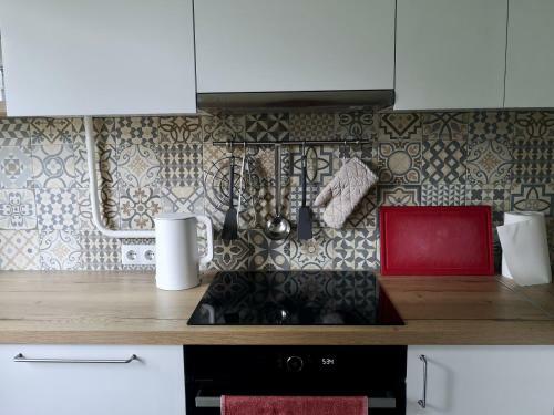 Homely Apartment In K?dainiai