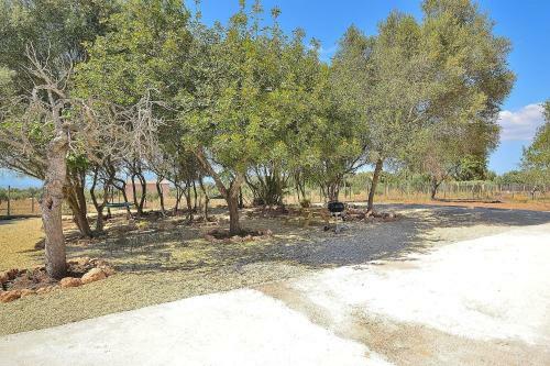 Finca Son Matet, Santa Eugenia 508