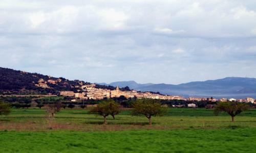 Finca Son Matet, Santa Eugenia 508