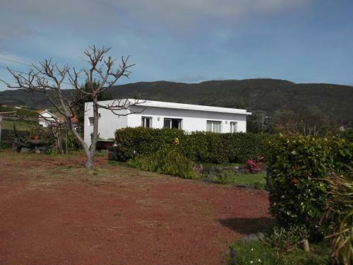 Agroturismo Quinta Da Abegoaria