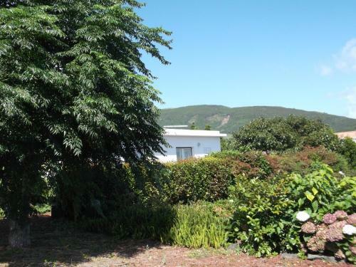 Agroturismo Quinta Da Abegoaria