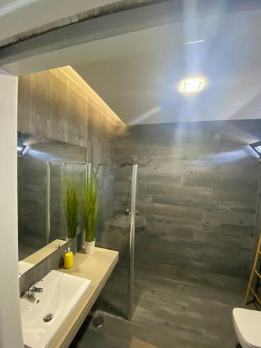 Garden Apartment Dona Am�lia