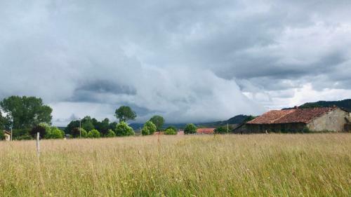 Apartamento Casa Druna Lee ; Casa En El Campo