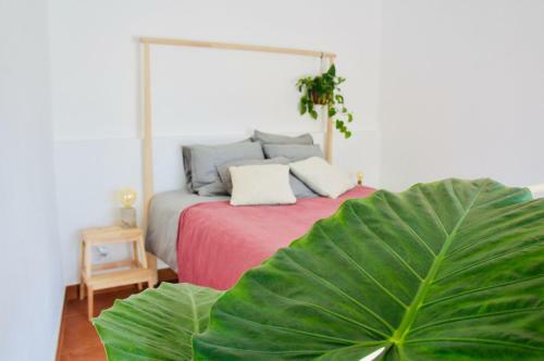 Apartamento Jo�o Jungle